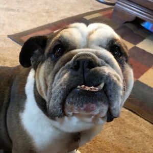 Meet your Posher, Kylie